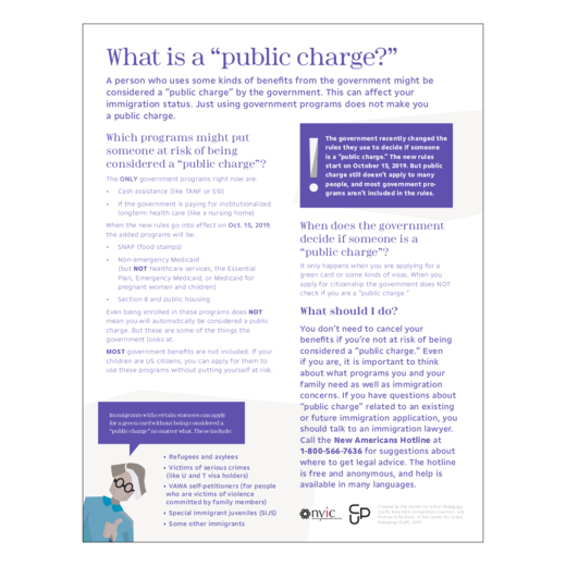 What is a Public Charge?